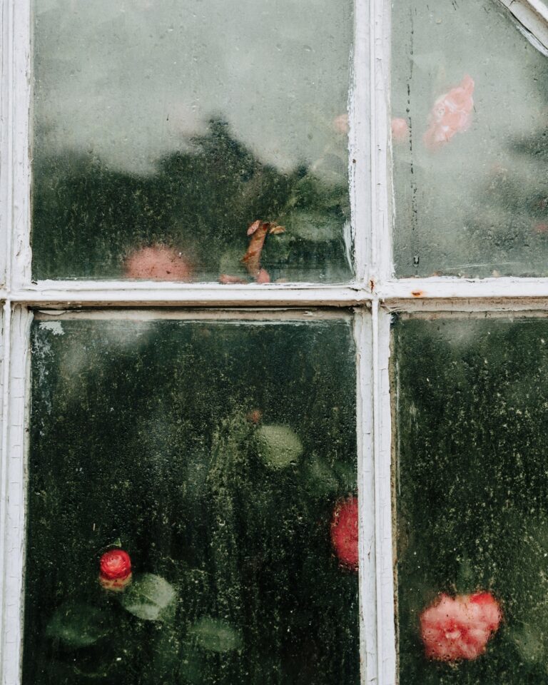 Close-up of a foggy double-pane window with condensation between the glass layers, showing signs of a failed window seal in a humid climate.